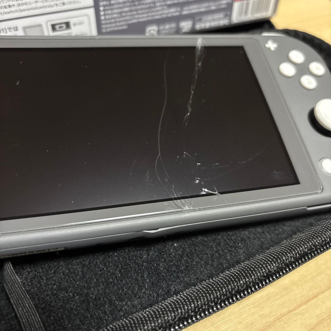 任天堂Switch lite 本体・ケース・充電器・箱