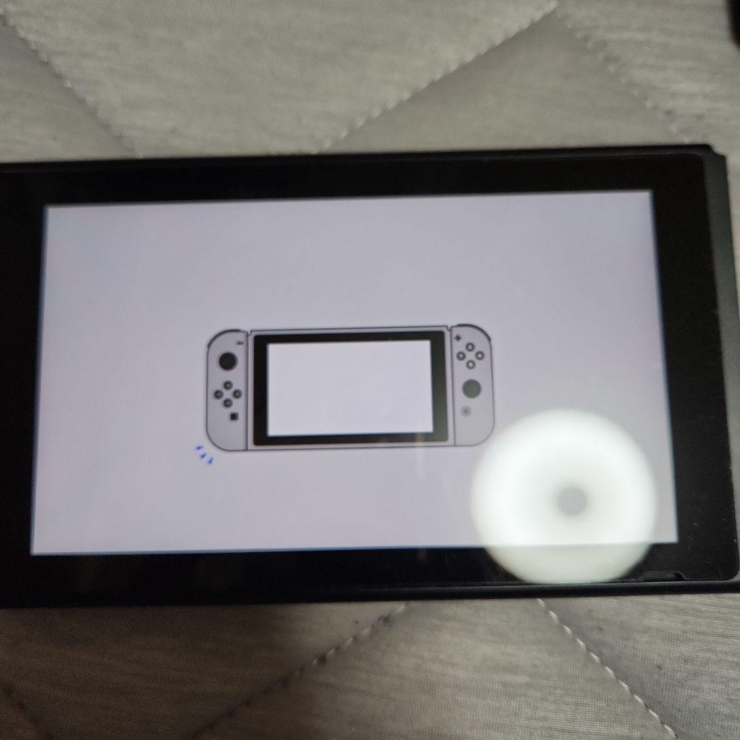 Nintendo Switch　あつまれどうぶつの森　本体　その他