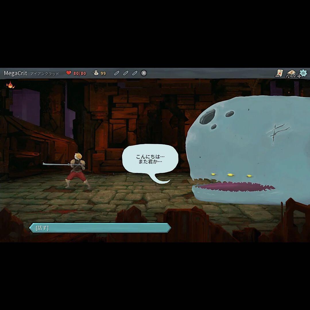 Slay the Spire スレイザスパイア 北米版 switch スイッチ