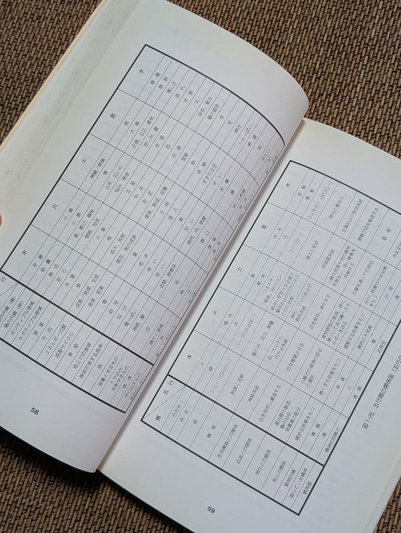 気内臓療法 　氣内臓　マンタクチア　謝明徳　チネイザン　チネイツァン