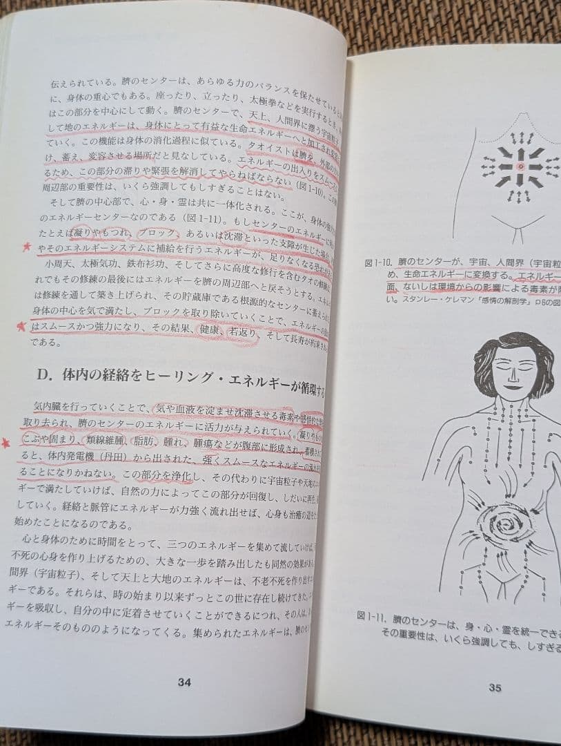 気内臓療法 　氣内臓　マンタクチア　謝明徳　チネイザン　チネイツァン