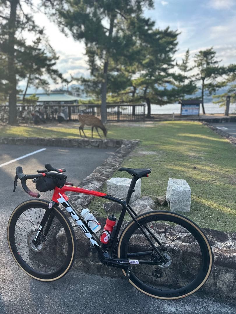 高体連のガキ 様Trek emonda SL 6 UCIロードバイクフレーム