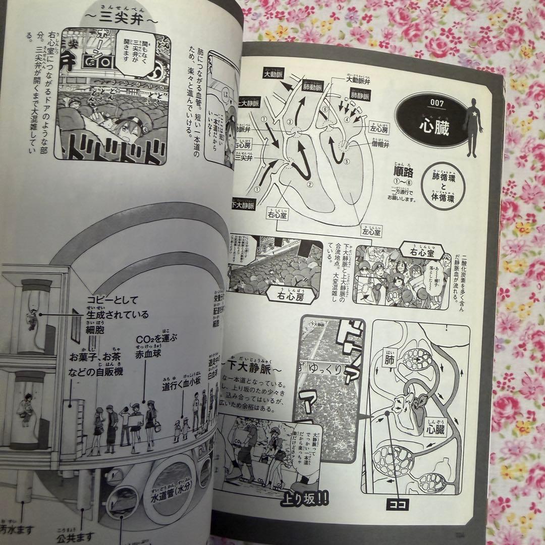 はたらく細胞 マッスル 小説 はたらく細菌 公式ファンブック 漫画 清水茜