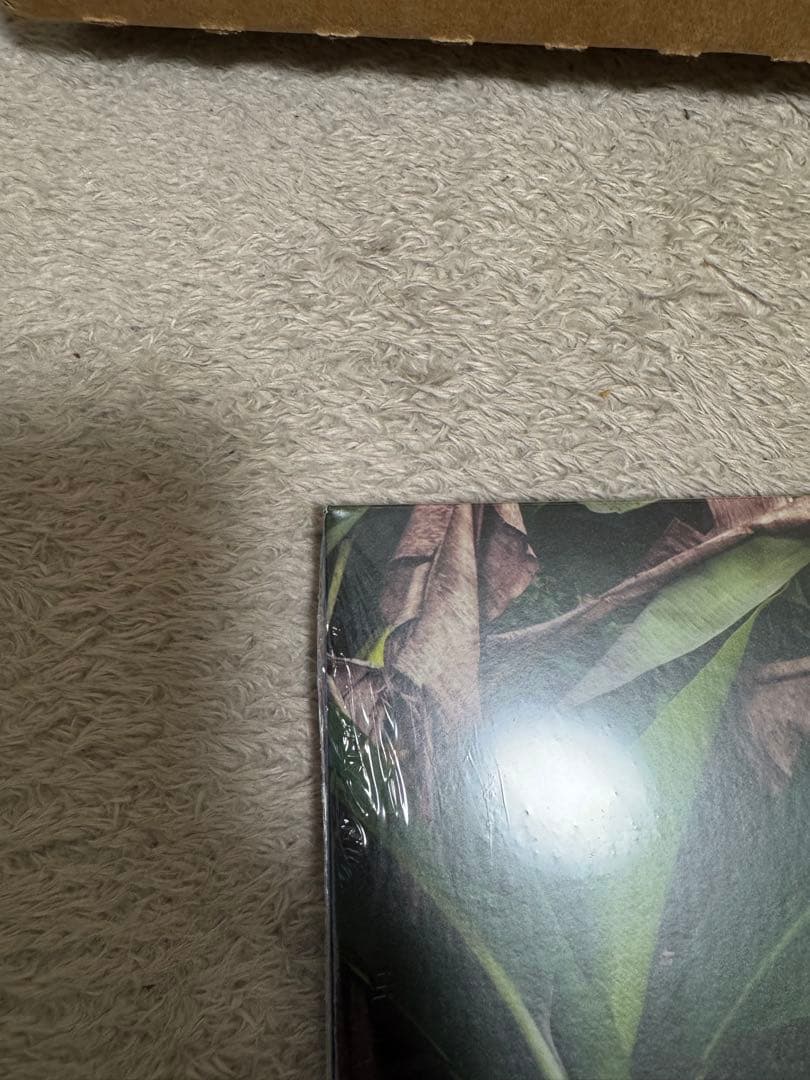 BAD BUNNY DeBí Tirar Más Fotos レコード DTMF