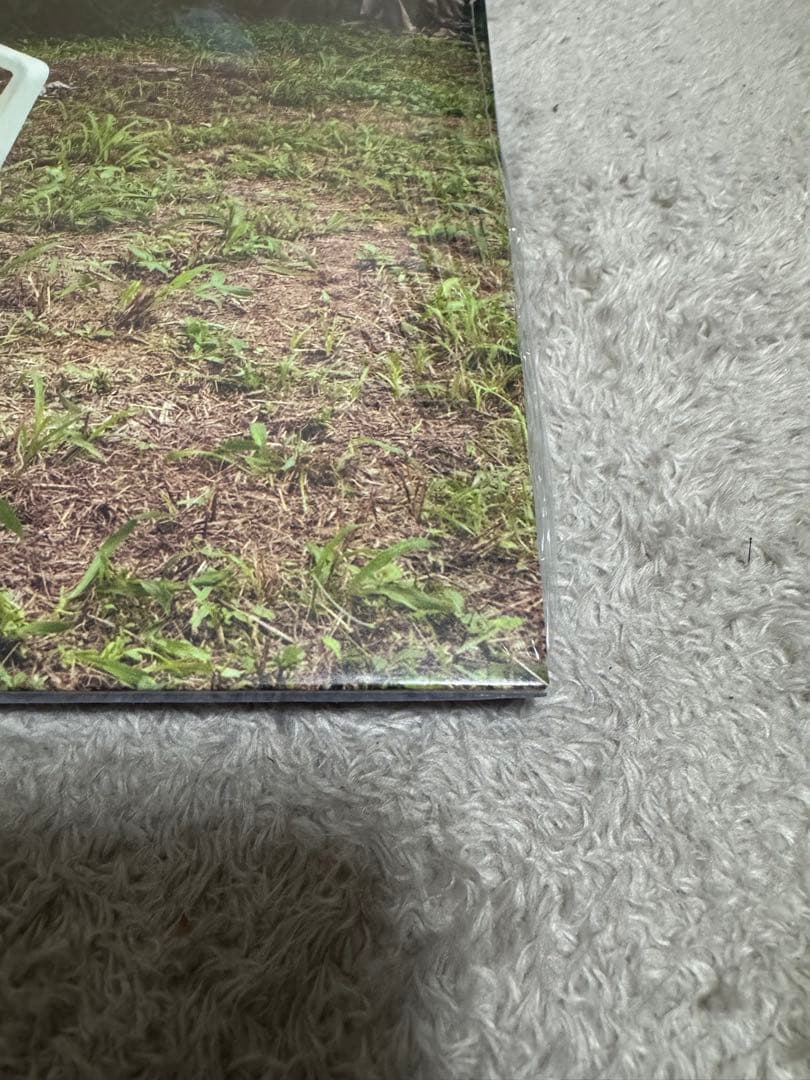 BAD BUNNY DeBí Tirar Más Fotos レコード DTMF