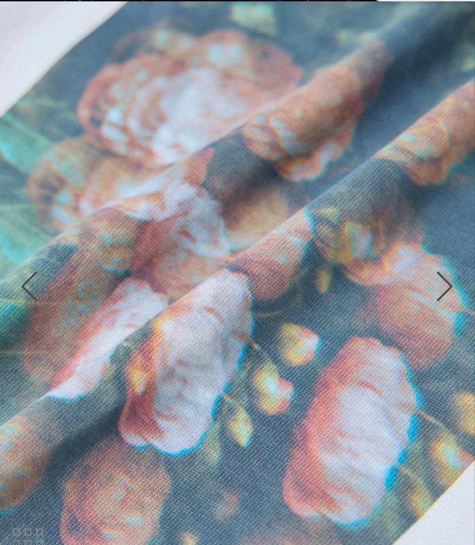 Annie Spratt by SALON フォトロングスリーブTシャツ