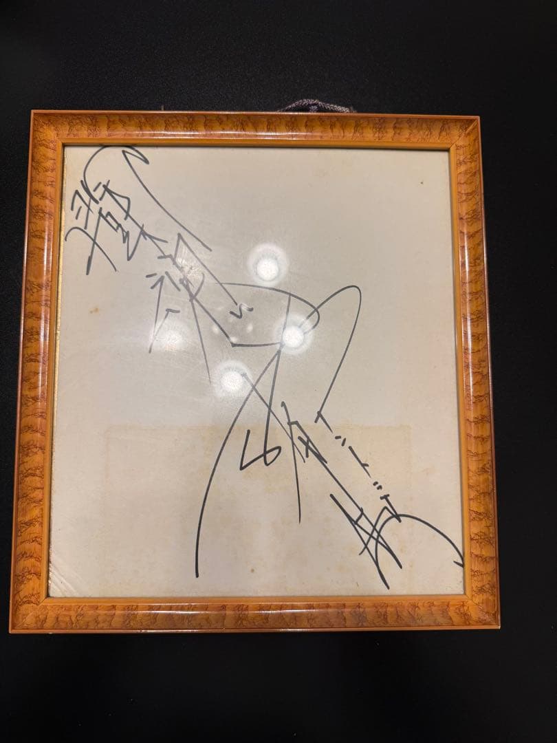 野球ファン様さ専用