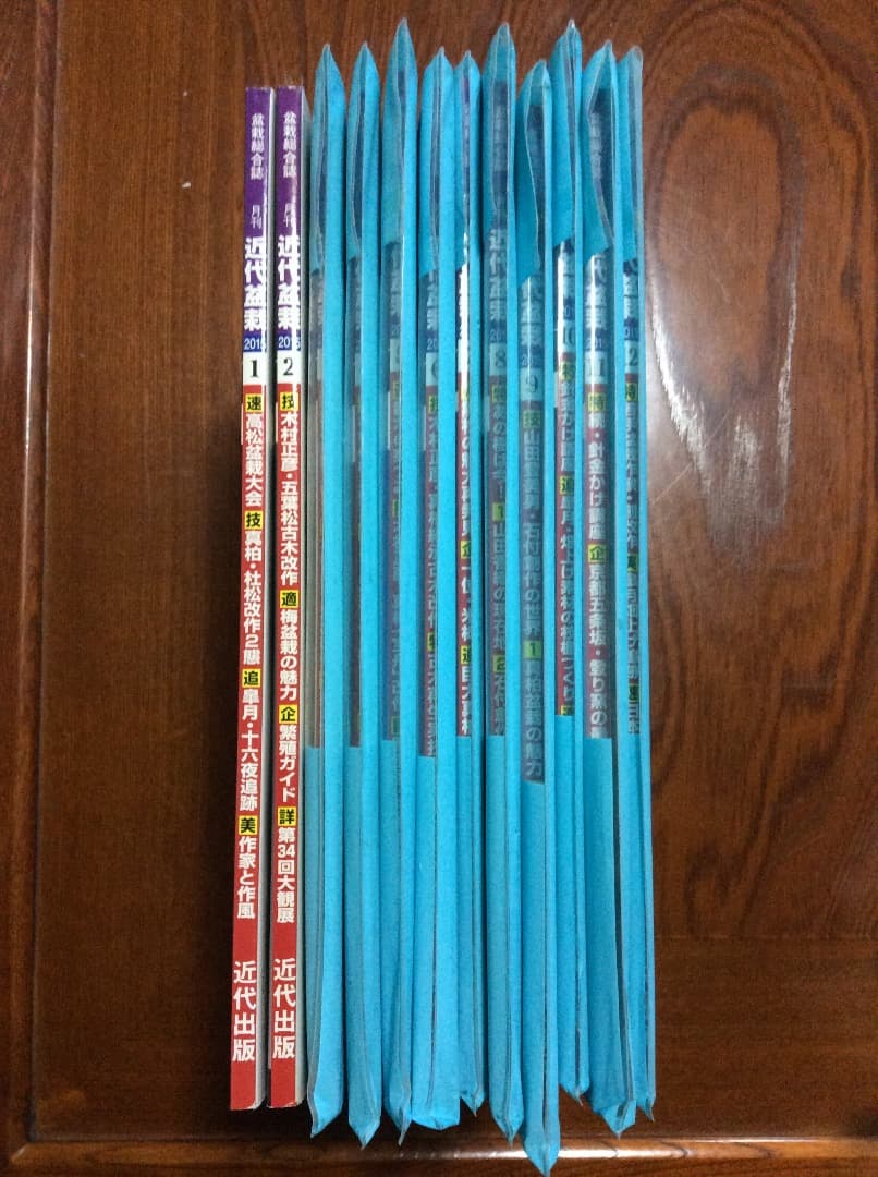 近代盆栽 2015年1月号〜12月号 12冊セット 近代出版 3〜12月号新品