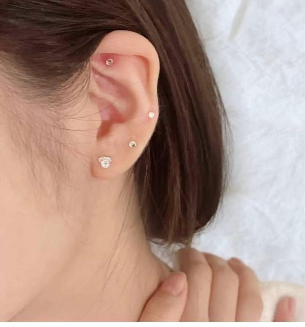 耳つぼ資格取得オンライン講座 ディプロマ付き