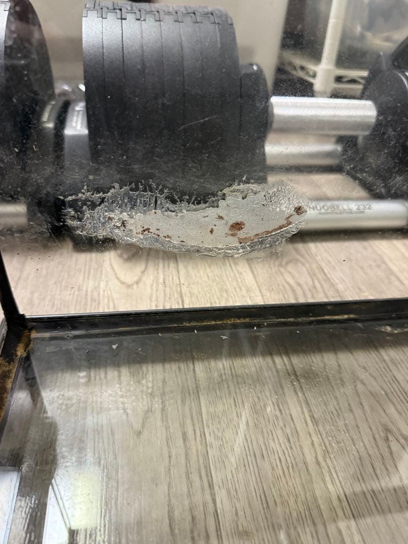 gex グラステラリウム6030 飼育ケージ