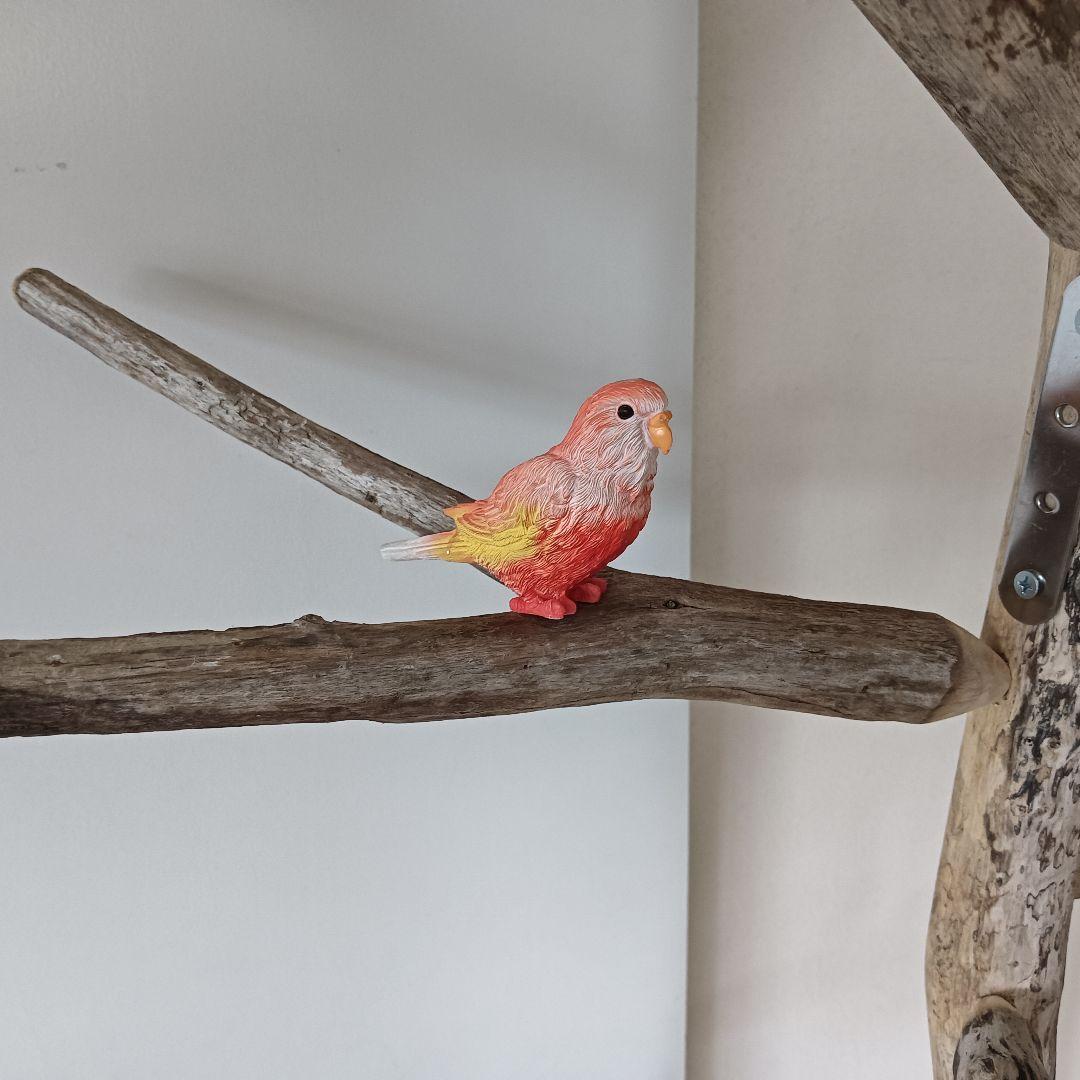 びぐ バードアスレチックジム大型 天然木 自然木 流木 インコ おもちゃ