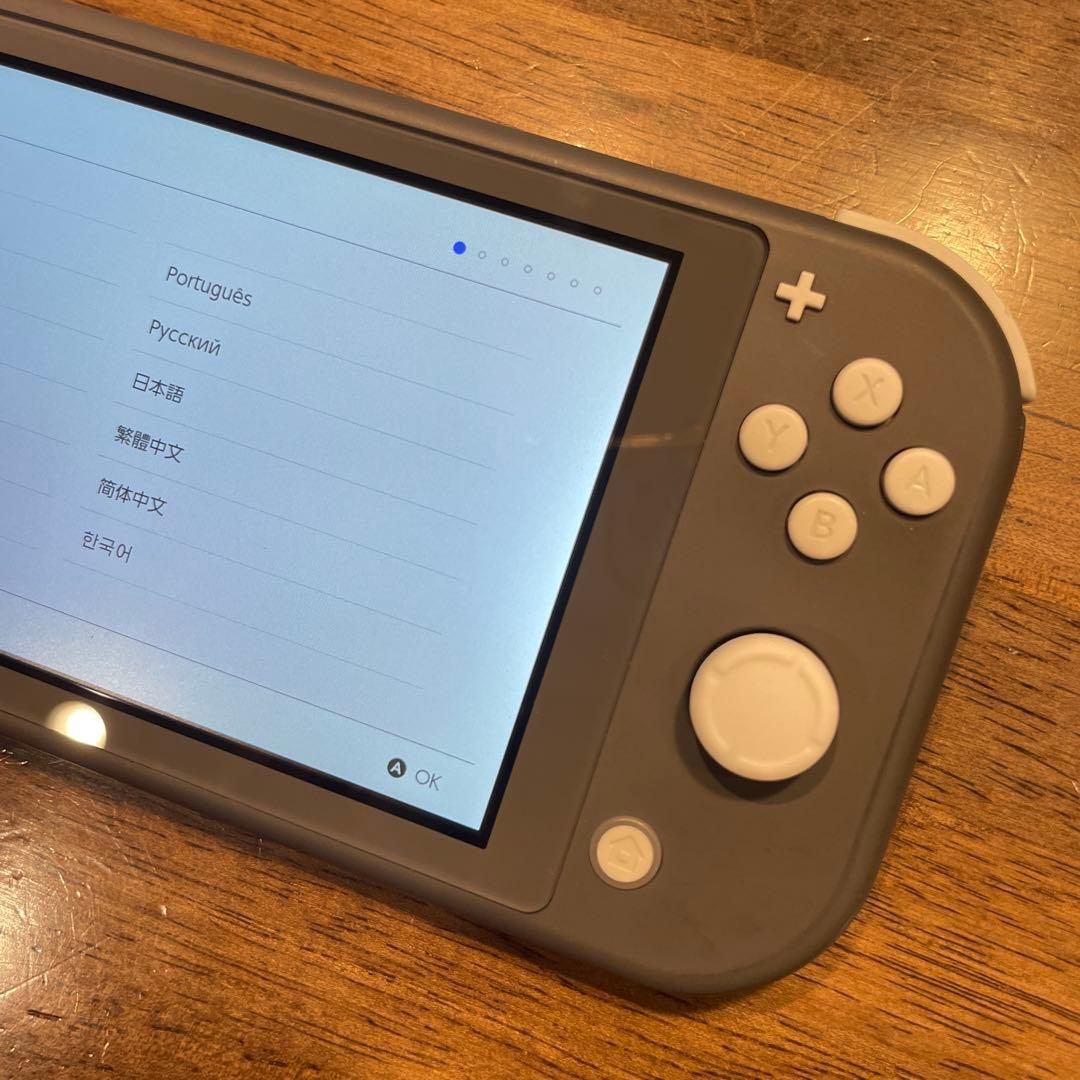 Nintendo Switch Lite グレー 透明ケース付き