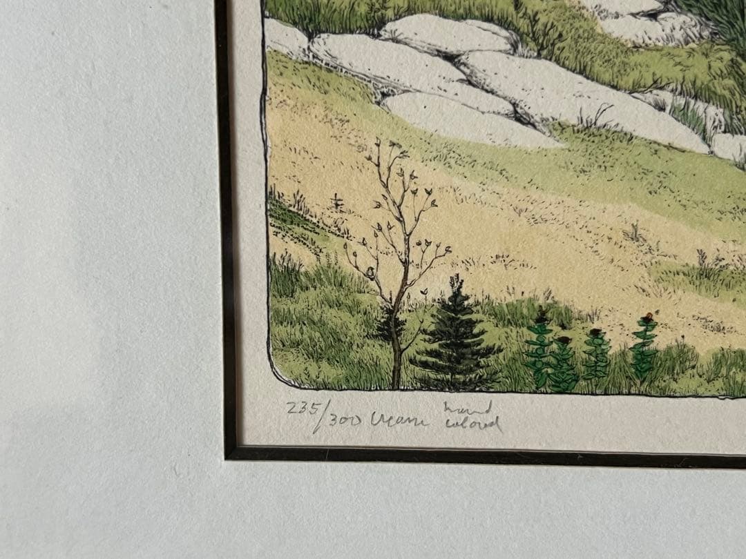 リトグラフ 手彩色 スーザン・ハント・ウォルコッツ