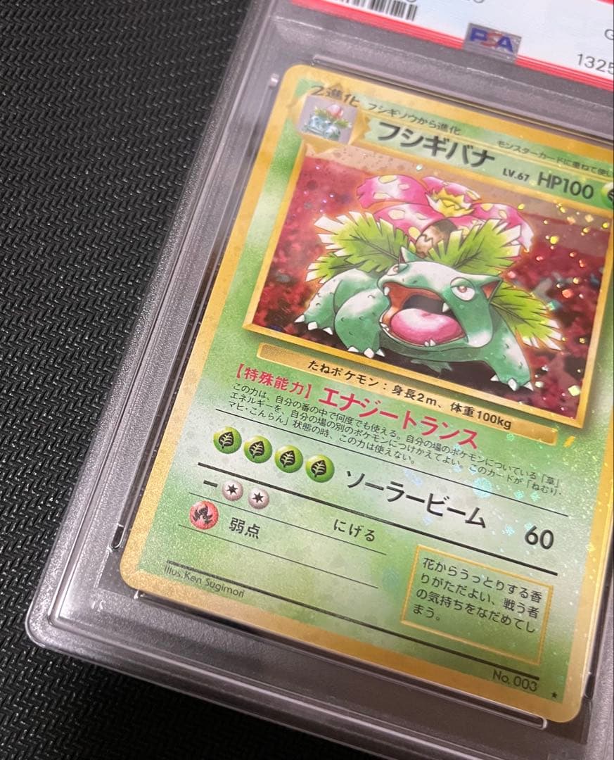フジギバナ　旧裏　psa10