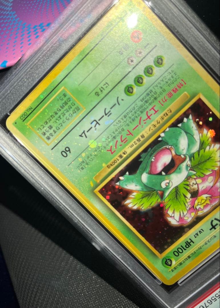 フジギバナ　旧裏　psa10