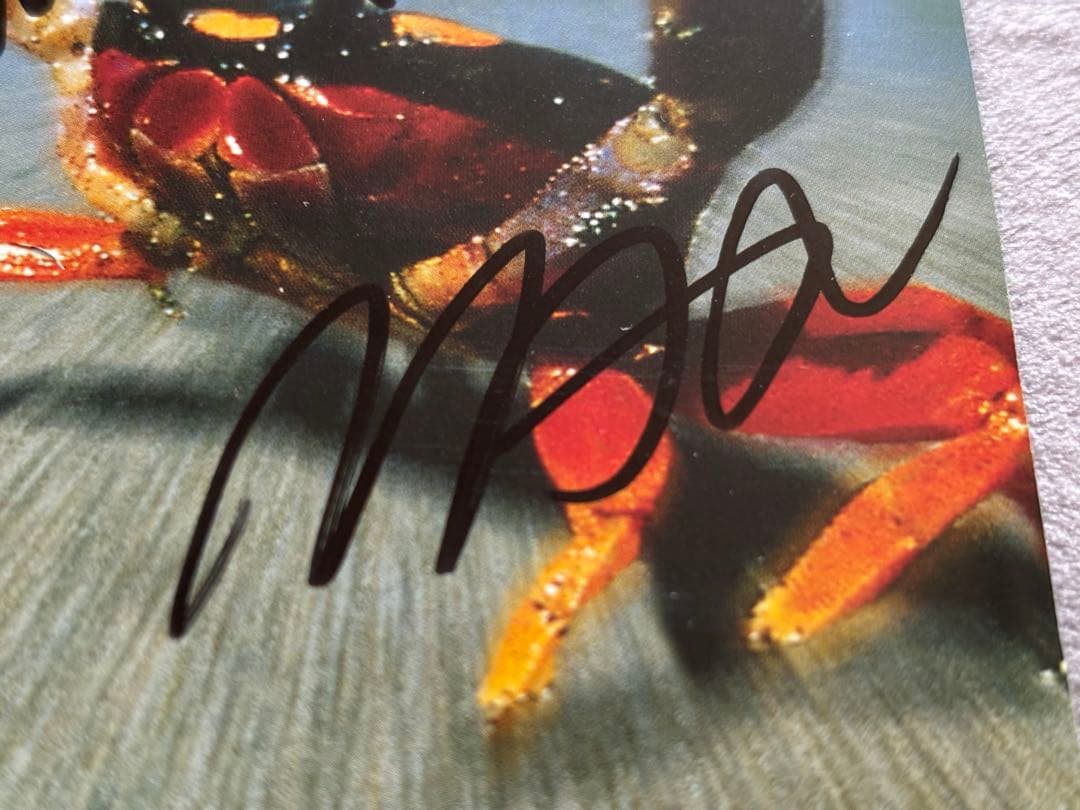 レア　ザ・プロディジー　The Prodigy直筆サインCD キースプリント