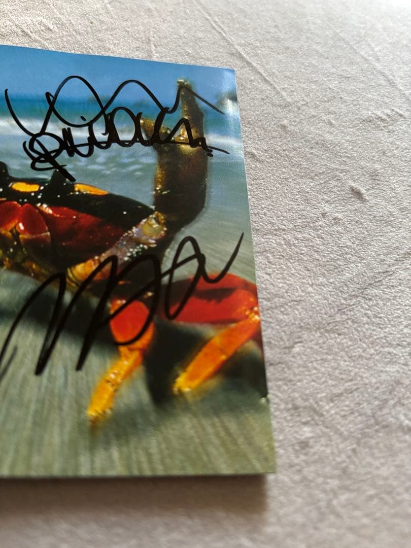 レア　ザ・プロディジー　The Prodigy直筆サインCD キースプリント