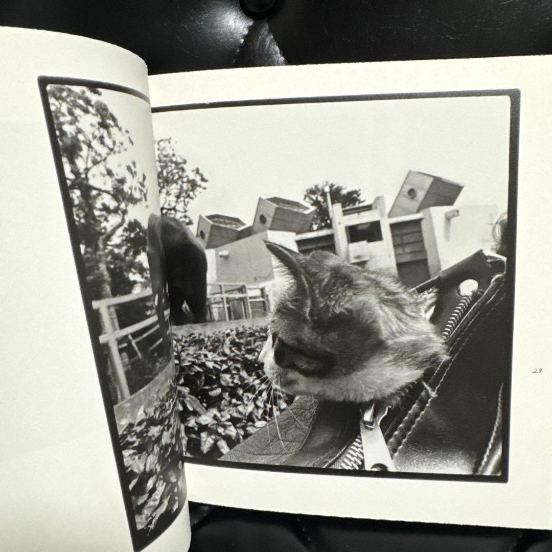 深瀬昌久　afterwordサスケ写真集　猫　2016年 初版限定900部