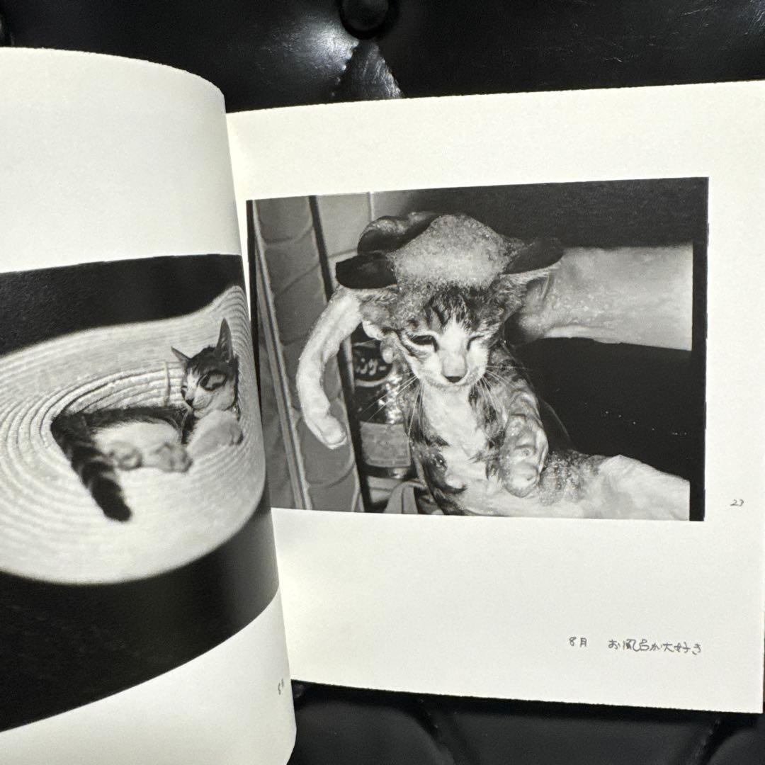 深瀬昌久　afterwordサスケ写真集　猫　2016年 初版限定900部