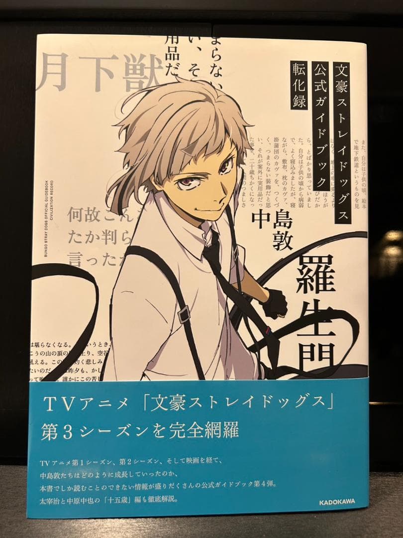 文豪ストレイドッグス いろいろセット