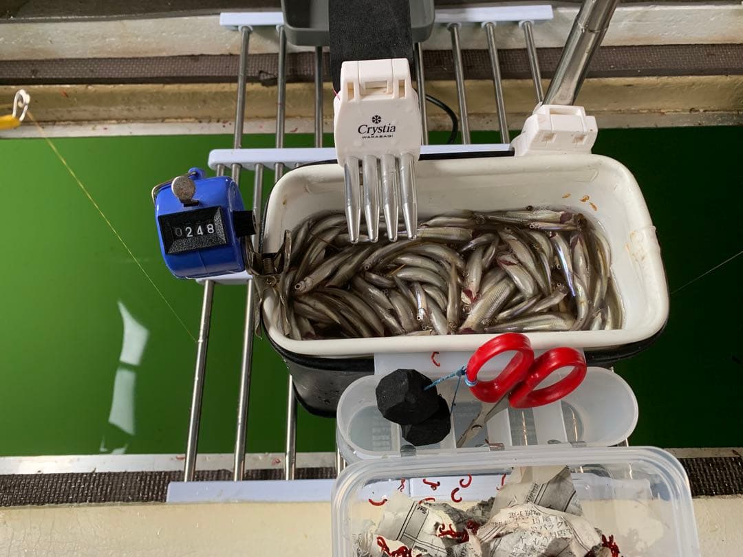 ワカサギステンレス穂先　　260ミリ　　２本