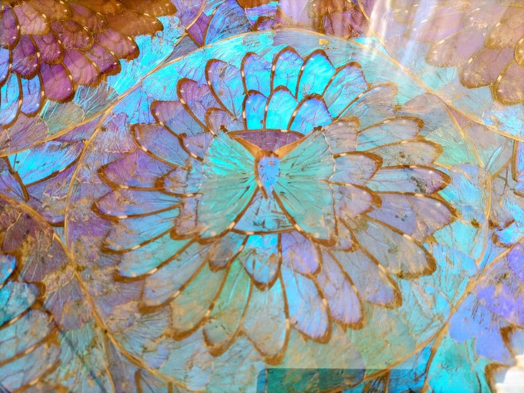 【希少レア 美品】蝶 トレー 美術品 アンティーク 昭和