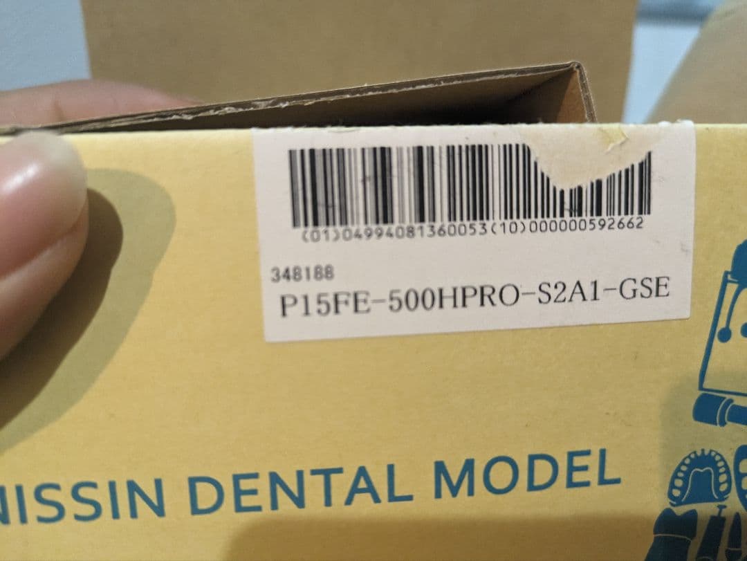 nissin 顎模型　がくもけい　歯牙模型　セット　デンタルモデル