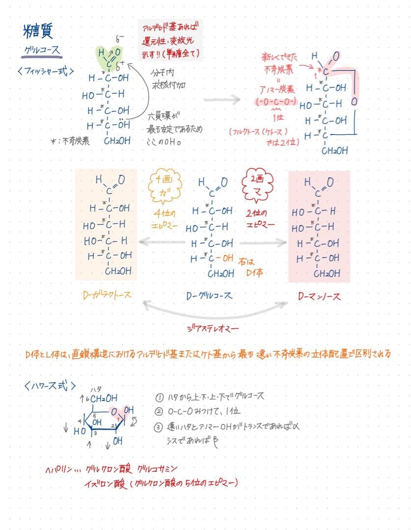 【ぴ】薬剤師国家試験対策 まとめノート 全科目セット 薬学部