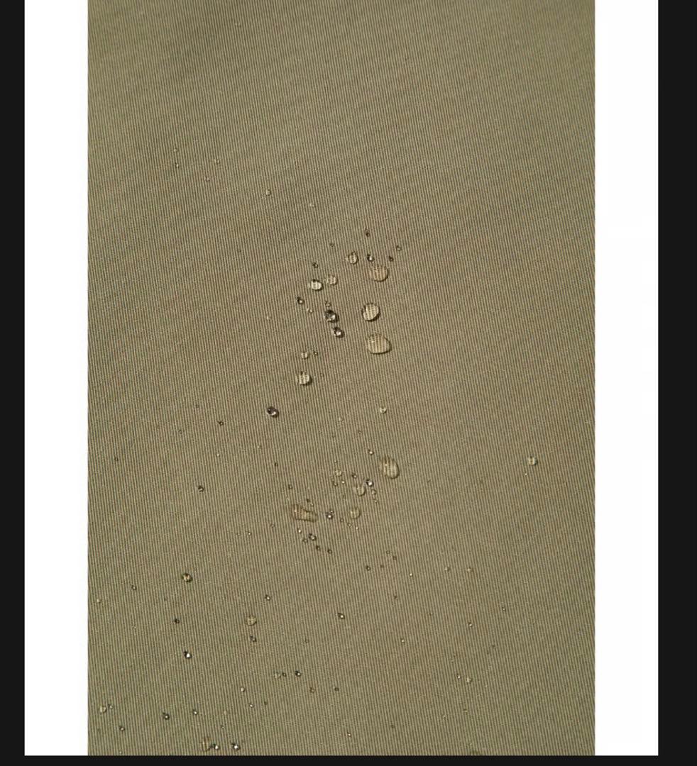 【撥水】エコファーライナー付きコート　WCJ 若槻千夏　モッズコート　完売品