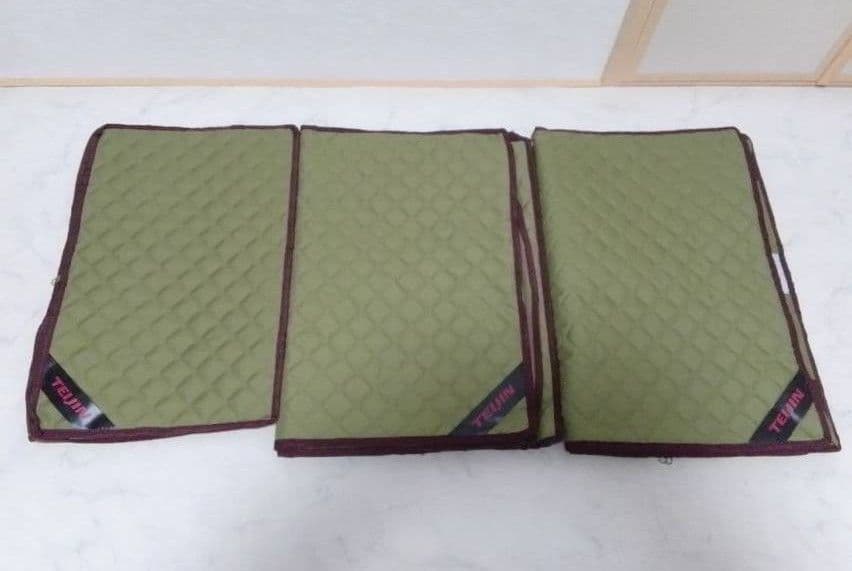 TEIJIN カラッと収納ケース プレミアム新品未使用 大2枚　小1枚