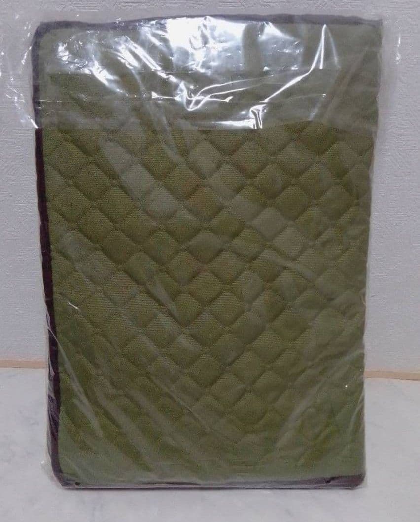 TEIJIN カラッと収納ケース プレミアム新品未使用 大2枚　小1枚