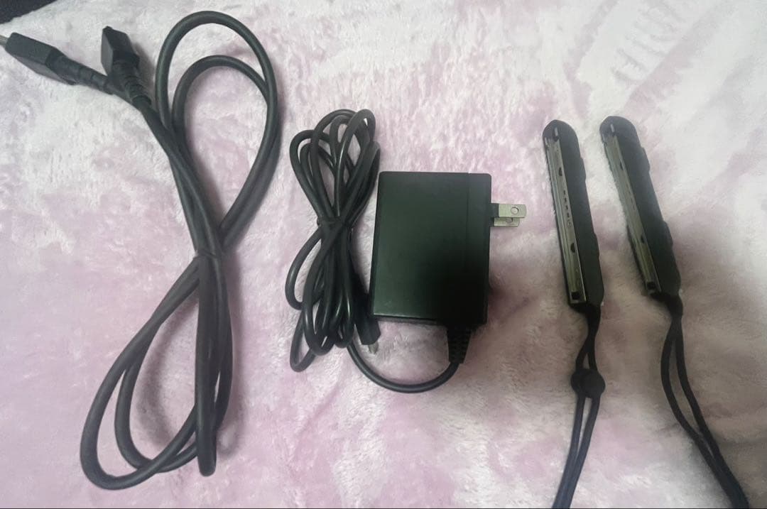 動作確認済 Nintendo Switch 本体セット SD256GB付