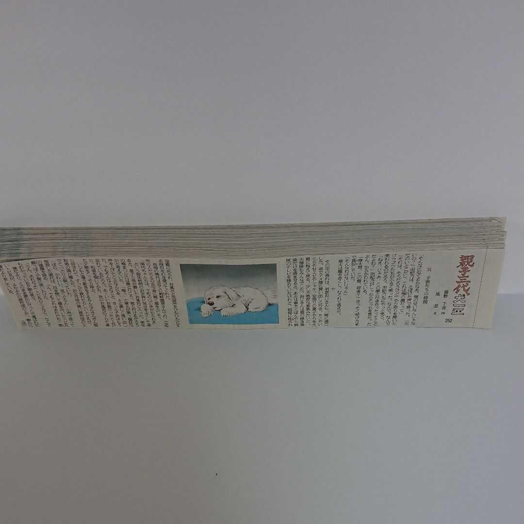 「地上最強の男 竜」でお馴染みの風忍先生挿絵の新聞、切り抜き238枚！(笑)