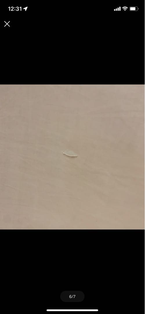 BELEGAフェアリーヴェール・プレミアム