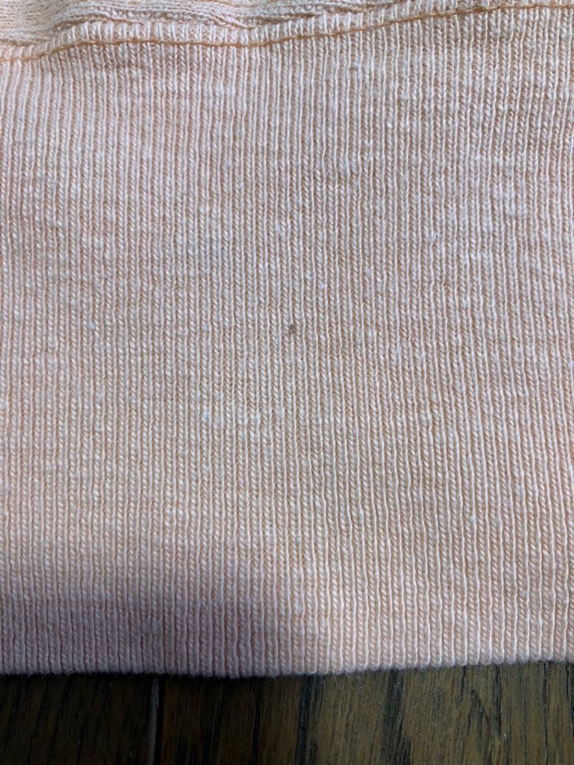 チャンピオン　リバースウィーブ　ウィスコンシン　トリコタグ　Mサイズ