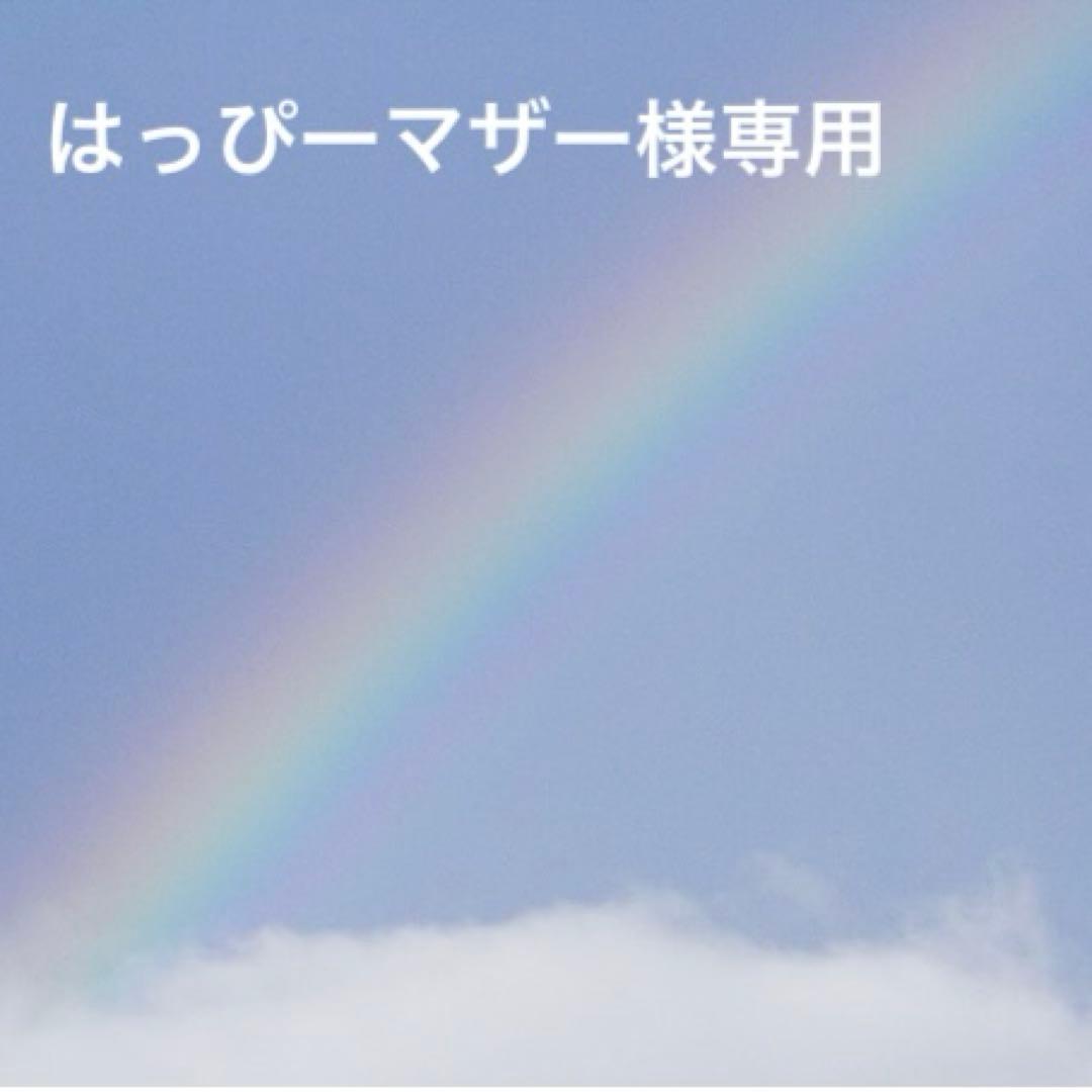 【お値下げ】ビオセルαII、バイタルトリートメントw w、ビオセルマスク３枚
