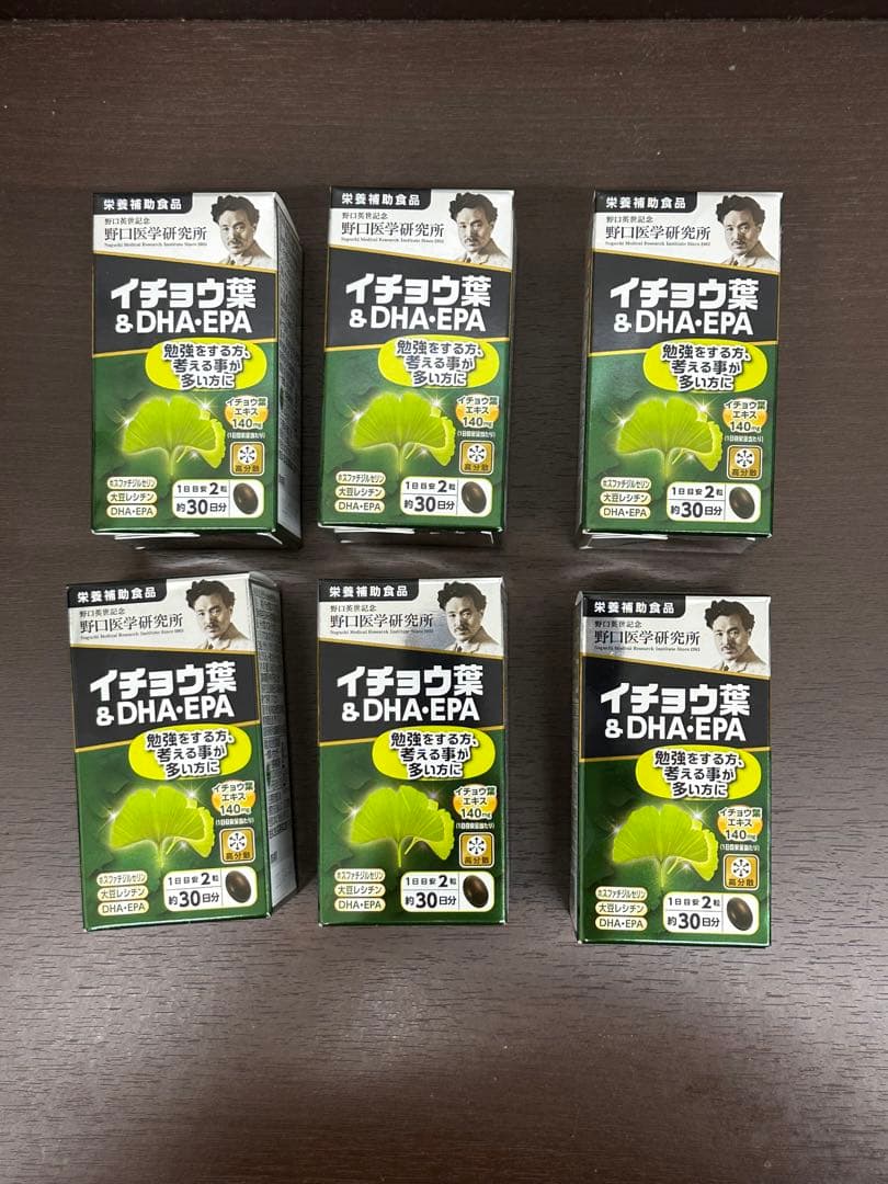 野口医学研究所 イチョウ葉&DHA・EPA 60粒 10個 国内正規品 新品