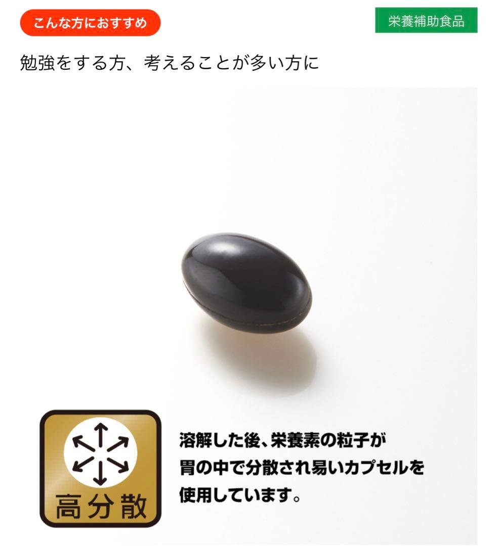 野口医学研究所 イチョウ葉&DHA・EPA 60粒 10個 国内正規品 新品