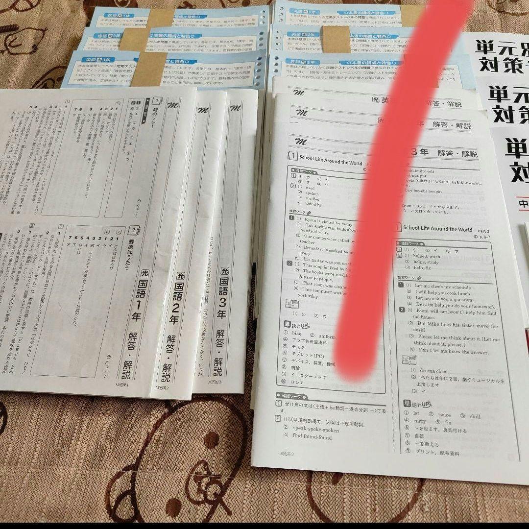 家庭教師 アカデミーハイブリット 中学1-3年生 定期テスト対策 国語のみ