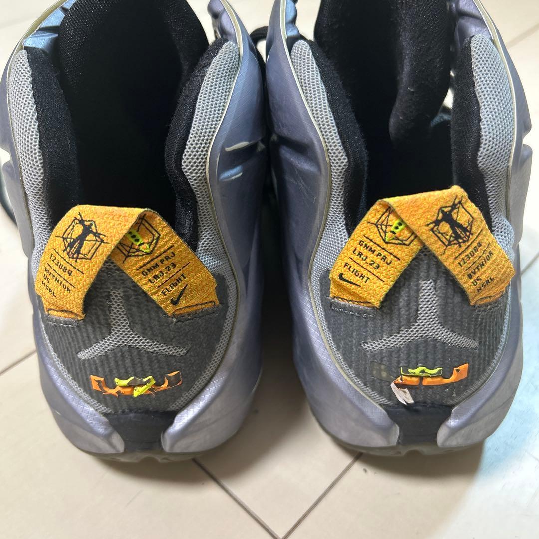 激レア　Nike レブロンモデル　レブロン12 バッシュ 27.5cm