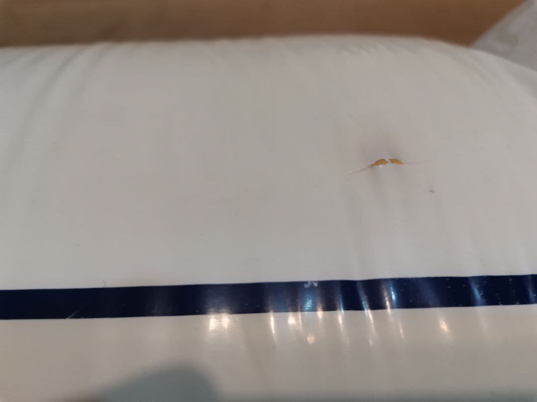 P*u様 トゥルースリーパー スタンダードタイプ シングル 低反発マットレス