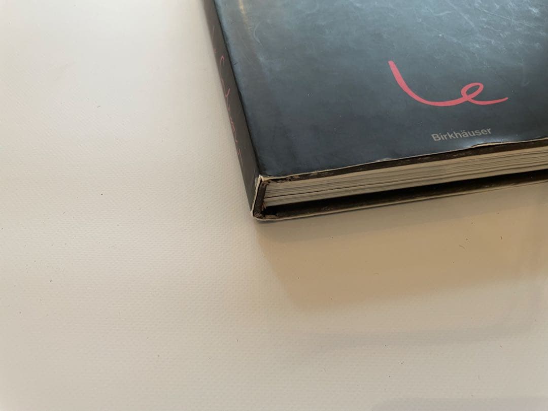 Le Corbusier ルネブリ　ル•コルビュジエ　Rene Burri 絶版