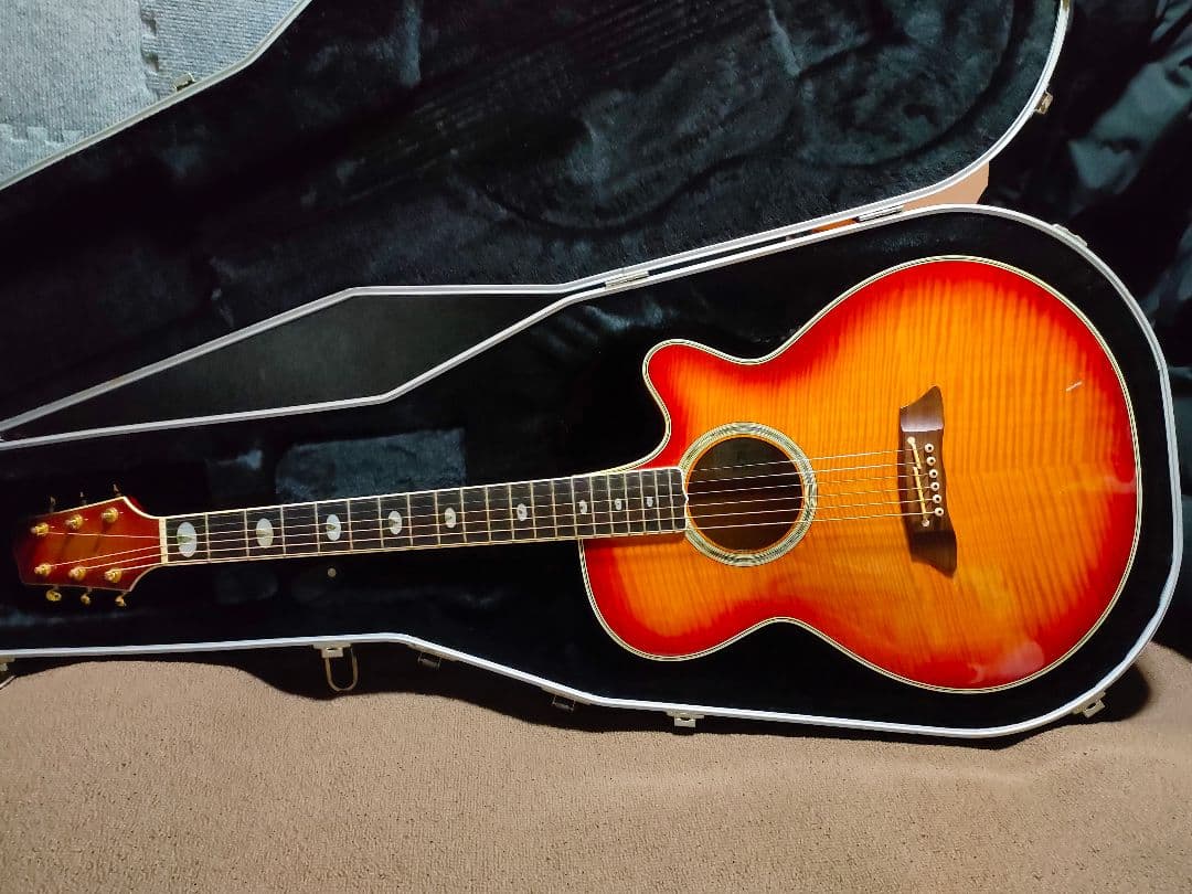 Takamine NPT-115 エレアコ 美品 タカミネ ハードケース付