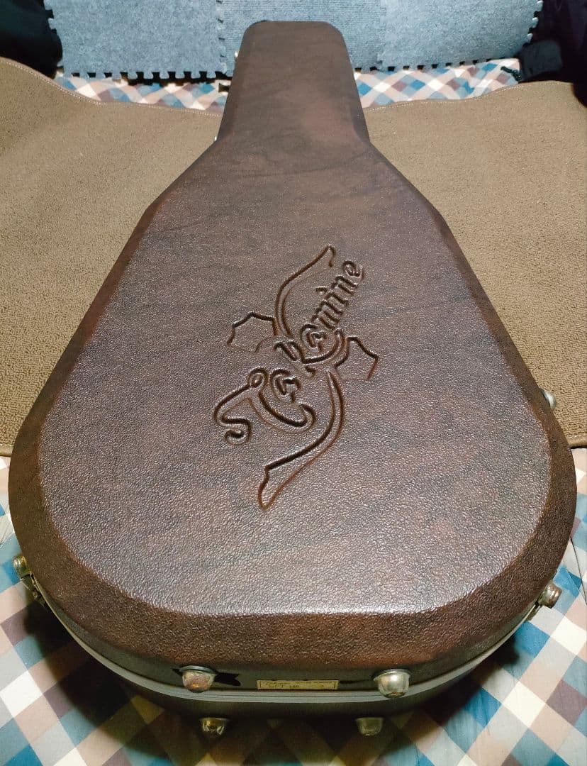 Takamine NPT-115 エレアコ 美品 タカミネ ハードケース付