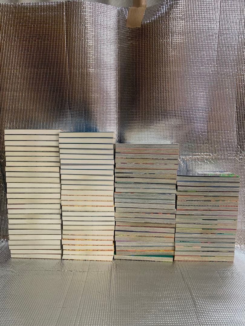 ジョジョの奇妙な冒険　スティールボールラン　ジョジョリオン