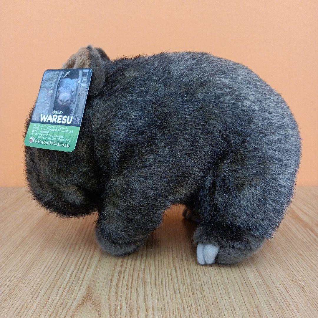 茶臼山動物園 コモンウォンバット ウォレス モモコ ぬいぐるみ マスコット 2点