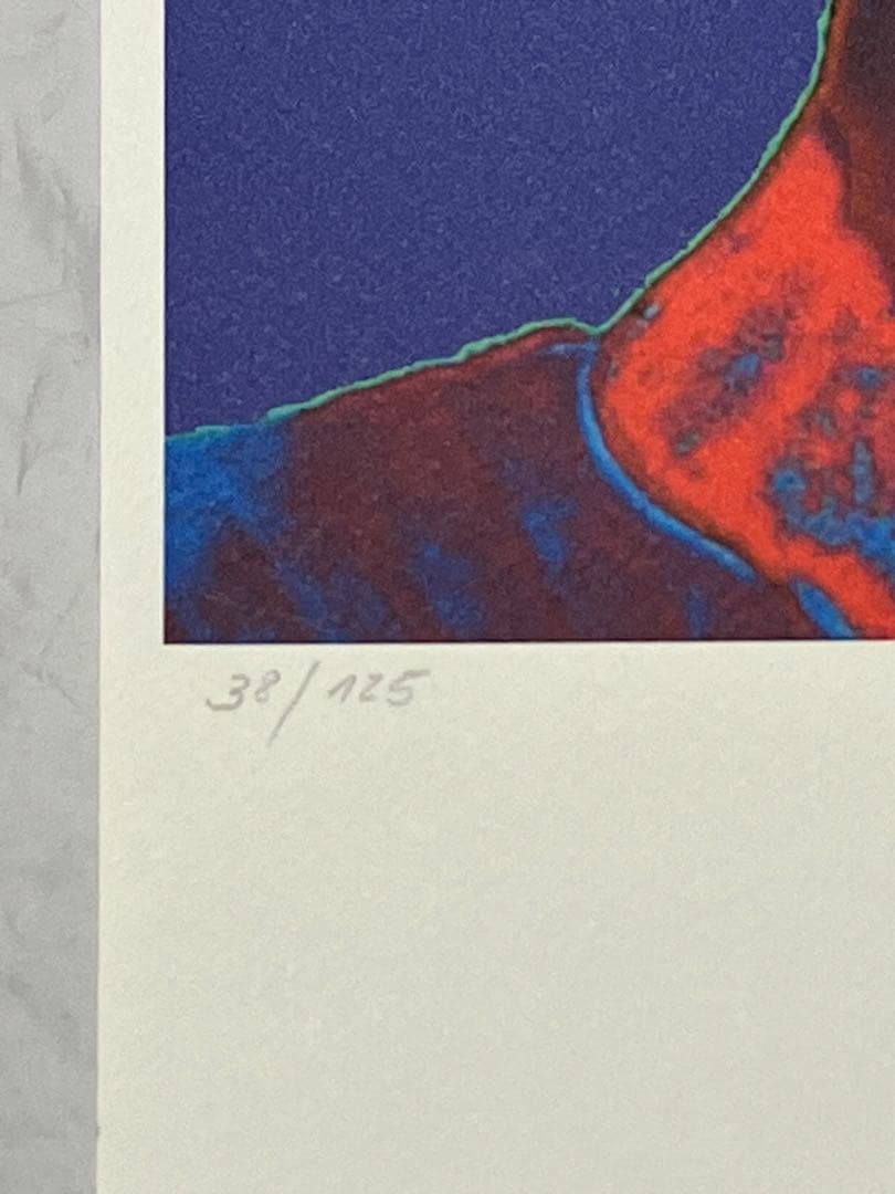 超レア！限定版リトグラフ アンディ・ウォーホル Andy Wahal【送料無料】