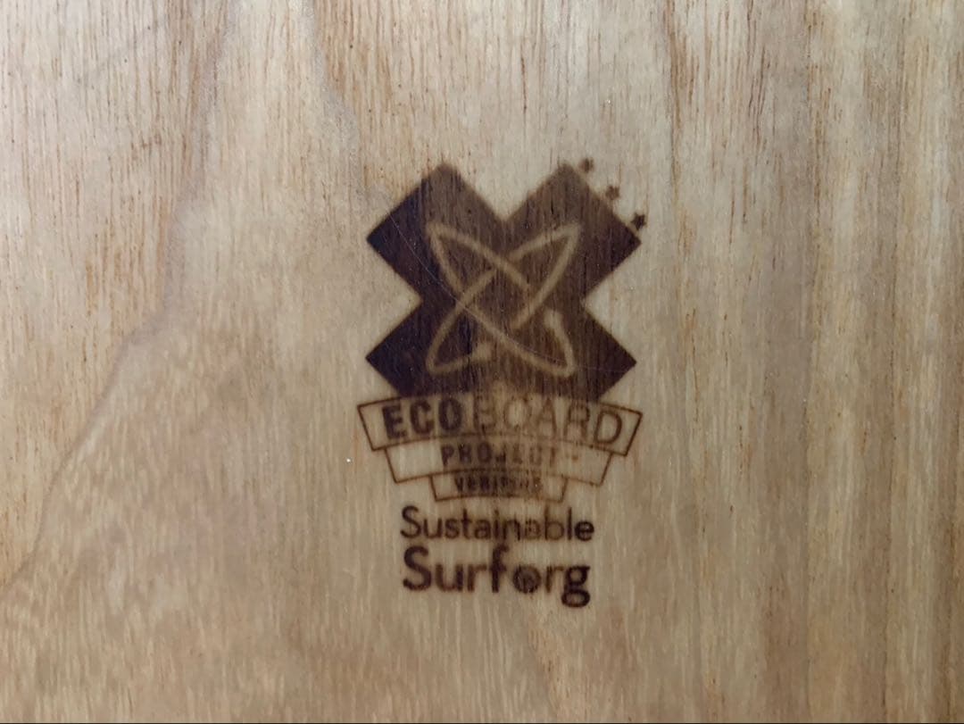 ファイヤーワイヤー　ラウンドノーズフィッシュ　5.5 FCS2フィン付き