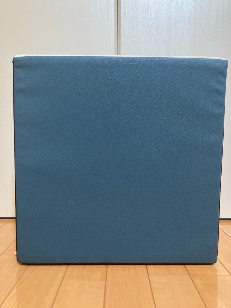 (説明書付き) ￼サンテプラス　フレックスクッション　パールホワイト