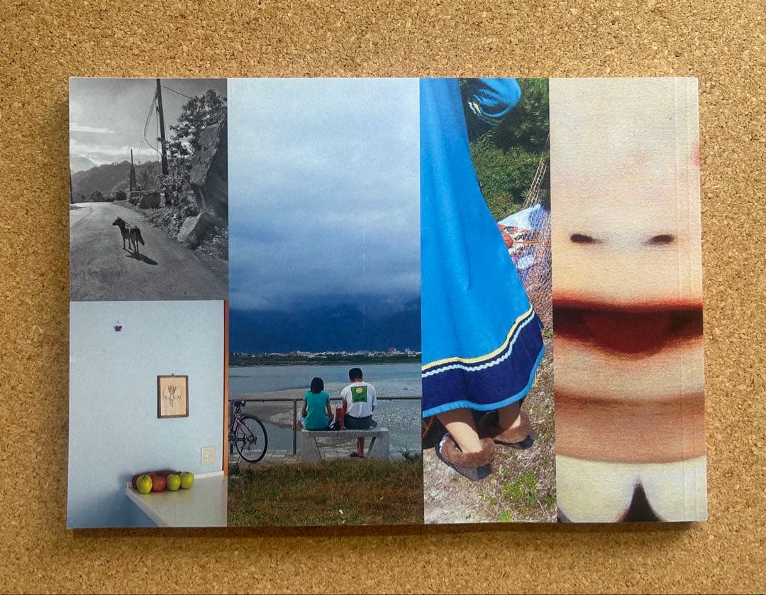 奈良美智　Will the Circle Be Unbroken 限定　写真集